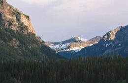 Screenshot 2025 08 18 at 5.02.26 PM